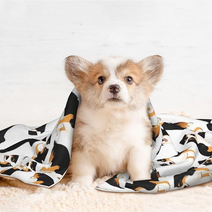 Double Sided Plush Pet Blanket for Small Large Animals, Australian Shepherds Dogs, Reversible Throw with Dimpled Dot Side and Flat Side for Kennels Living Rooms