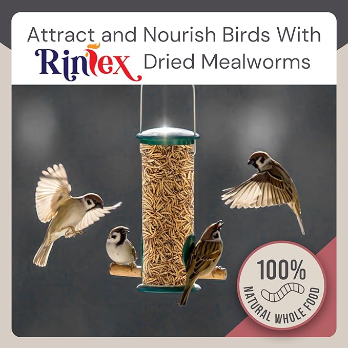 Dried Mealworms 8 oz - High Protein Food - Non Gmo Mealworms - Chicken Treats for Laying Hens - Dried Mealworms for Hamsters , Bluebird Feed, Reptile Food, Turtle Food, Hedgehog Food, Squirrel Food
