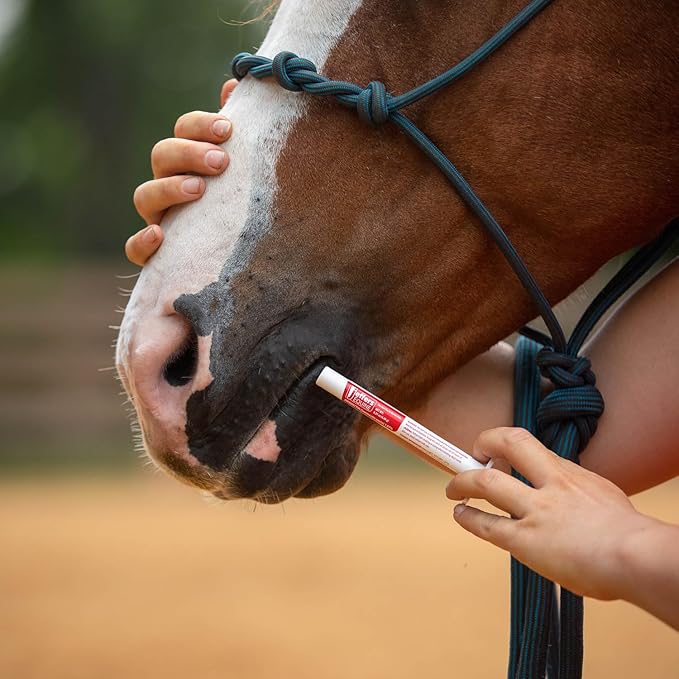 Jeffers Ivermectin Gel Dewormer for Horses - Apple Flavored, 1.87% Broad Spectrum Dewormer Paste - Effective Parasite Control for Worms, Pinworms, Bots & More - Safe for Equine of All Ages- (1 Pack)