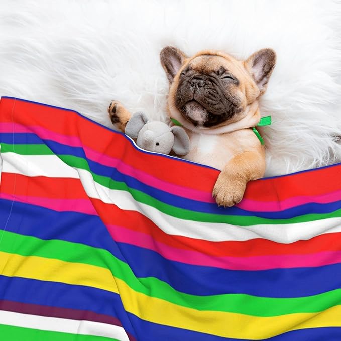 Double Sided Plush Pet Blanket with Cozy Dot Texture and Smooth Reverse, Novel Colorful Mexican Blanket Stripes, Reversible Throw for Dogs Cats on Couches Beds Crates