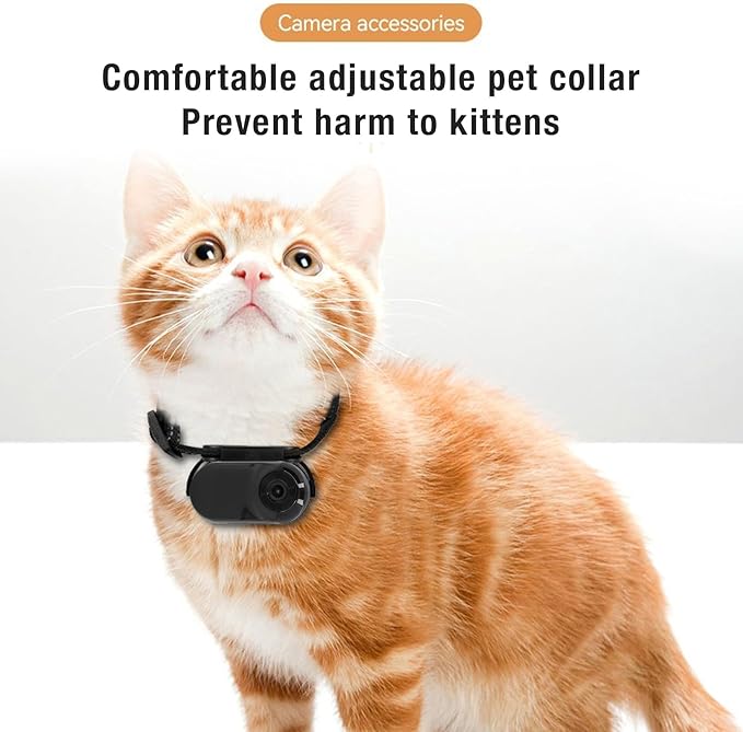 ASHATA Pet Collar Camera, HD 1080P Cat Camera Collar with Video Record (Black)