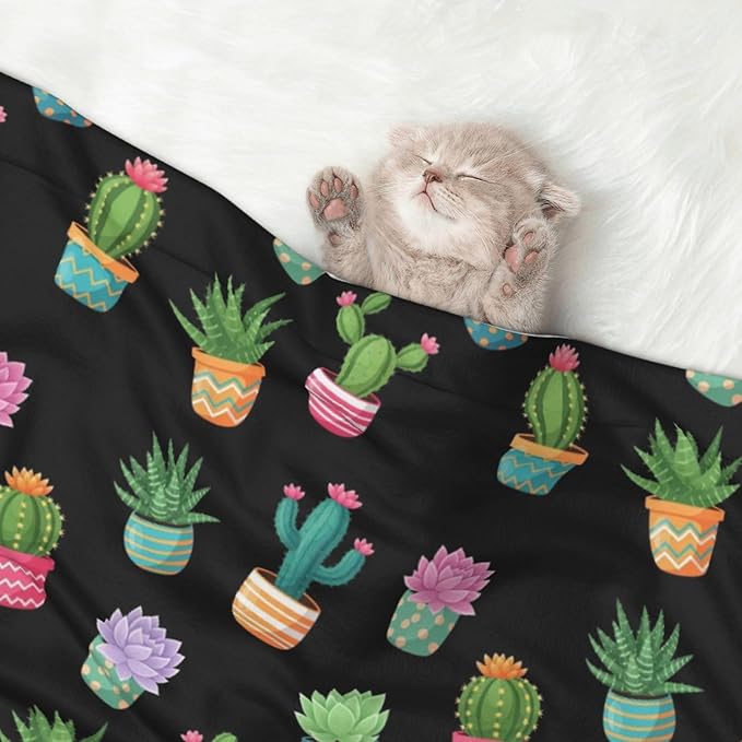 Two Sided Pet Cuddler Blanket for Anxiety Calming, Succulent Cactus Potted Plants, Reversible Plush Design with Bubble Dot Pattern Provides Familiar Surface Anywhere