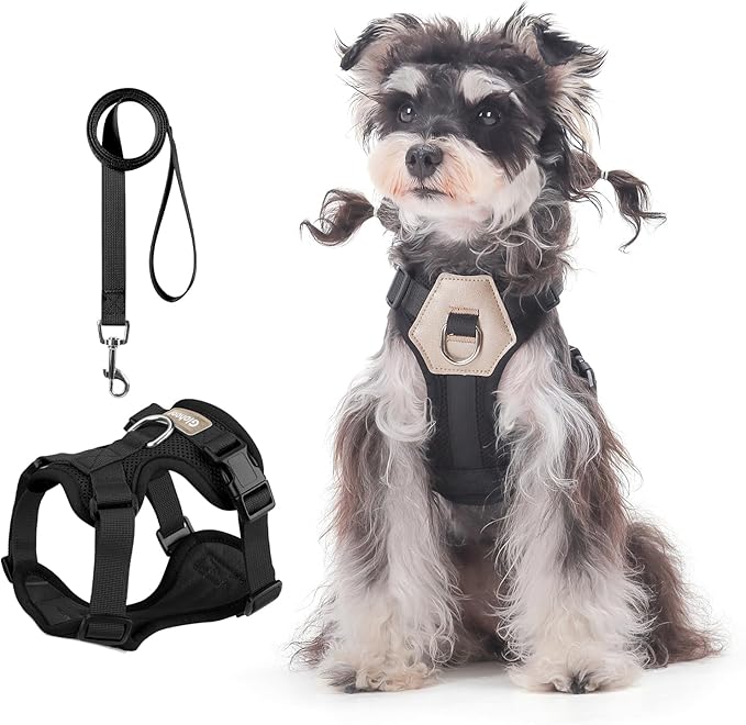 Small Dog Harness and Leash Set, Breathable Mesh Puppy Harness, Adjustable Dog Harness for Small Medium Large Dogs, No-Pull Pet Harness for Daily Walking (Black, Medium)