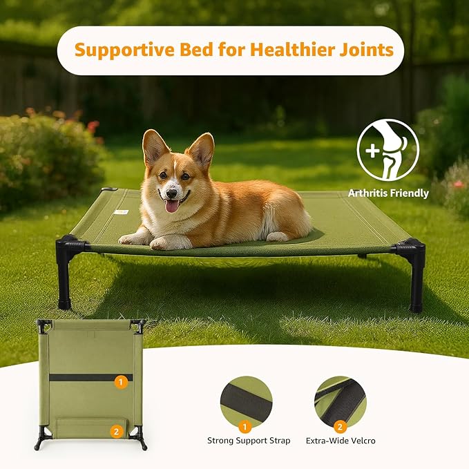 Sytopia Outdoor Raised Dog Cots Bed for Dogs, Medium, Green