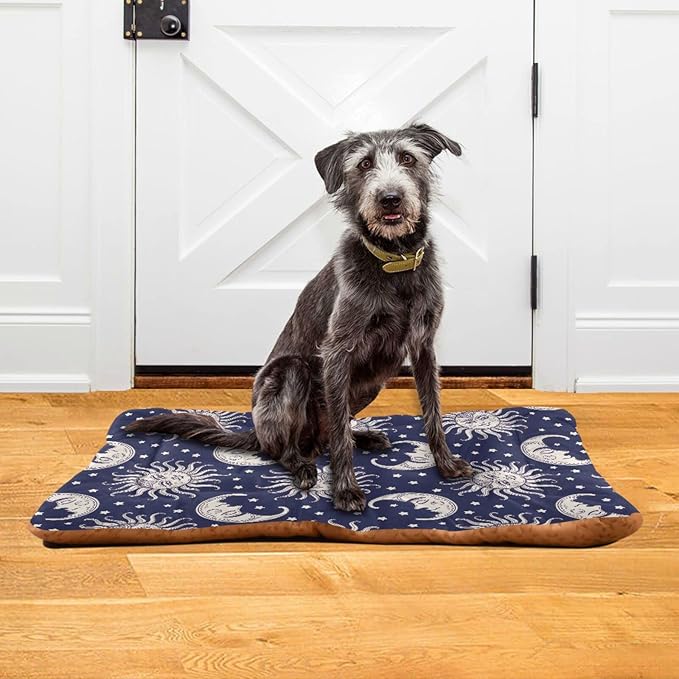 Vintage Sun Moon Pet Bed Cute Dog Bed Mat Absorbing Non Slip Pad Pet Sleeping Mat for Small, Medium, and Large Dogs Puppy Cat 24 in x 18 in