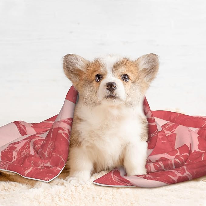 Waterproof Dog Blanket Soft Pet Blanket for Puppy Cat, Fleece Cat Throw Blankets for Furniture Bed Couch Sofa Reversible - Red Meat
