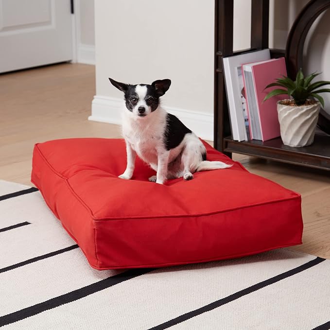 Charlie Rectangle Indoor/Outdoor Pillow Style Dog Bed, Salsa, Small (24" x 36")