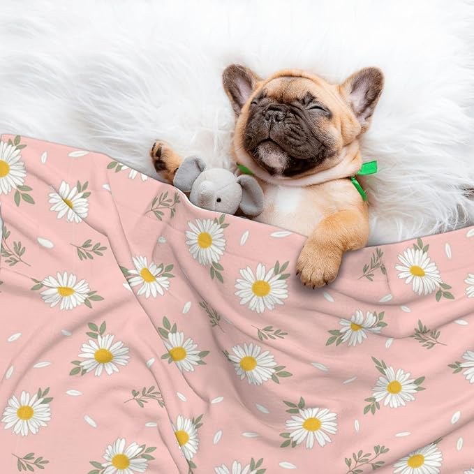 Pet Blanket for Indoor Outdoor Use, Shabby Chic Flower Daisy Roses Spring Season Theme Pink, Two Sided Reversible Plush Mat with Bumpy Dot Texture for Patios Crates Portable Bed Companion