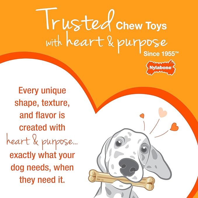 Nylabone Textured Dental Bone Flexi Chew Toy for Dogs, Dog Toys for Moderate Chewers, Chicken Flavor, X-Small - Up to 15 lbs, 1 Count