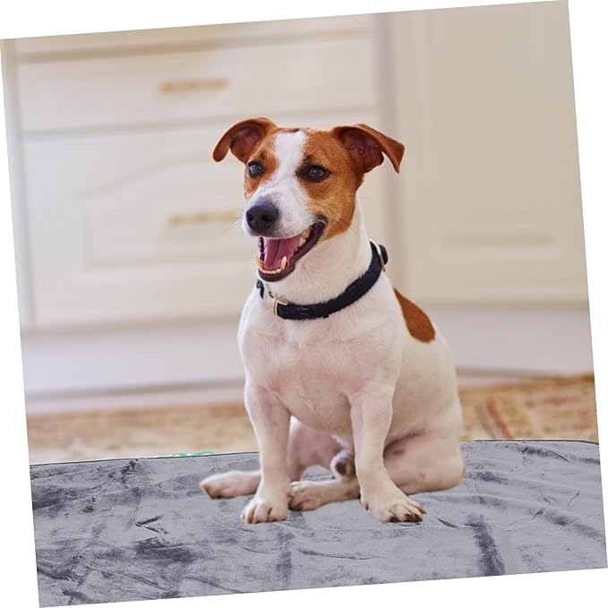 HANABASS Pet Blanket Soft Thick Mat Washable for Cats Dogs Dog Bed Cover Cage Resting Mat Easy Care Sleep Pad