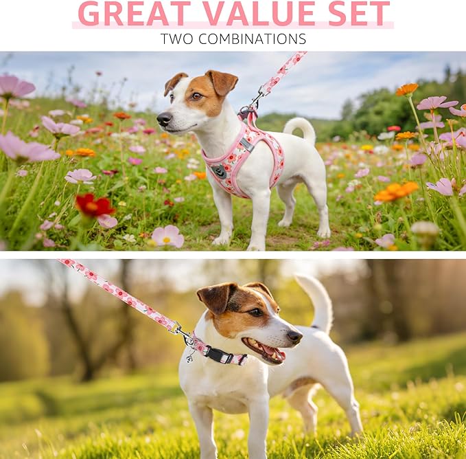 SCENEREAL Small Dog Harness and Leash Collar Set, Step in Soft Light Puppy Vest, Breathable Pet Harness for Small Sized Dogs, No Chock Reflective for Safe Outdoor Walking, Pink Flower M