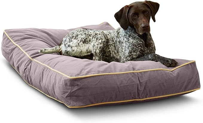South Pine Porch Buddy Reversible Rectangle Pillow Style Microfiber Dog Bed with Removable, Machine-Washable Cover, Smoke, Medium (42 in. x 30 in.)