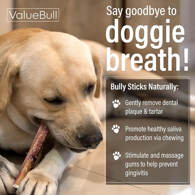 ValueBull Bully Sticks for Small Dogs, Thin 12 Inch, 25 Count - All Natural, Grass Fed, Single Ingredient, Long Lasting Dog Treats