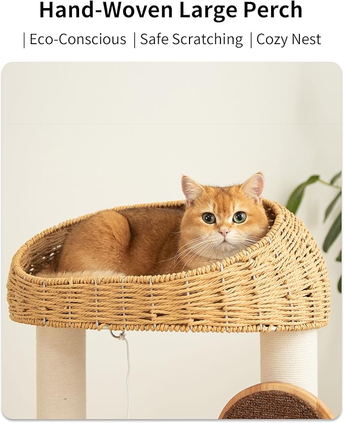 Wood Cat Tree for Large Cats, Modern Cat Tree Tower with Wide Shelves Cotton Scratching Posts, Super Sturdy Base, Cozy Perches, and Interactive Toys for Indoor Kittens