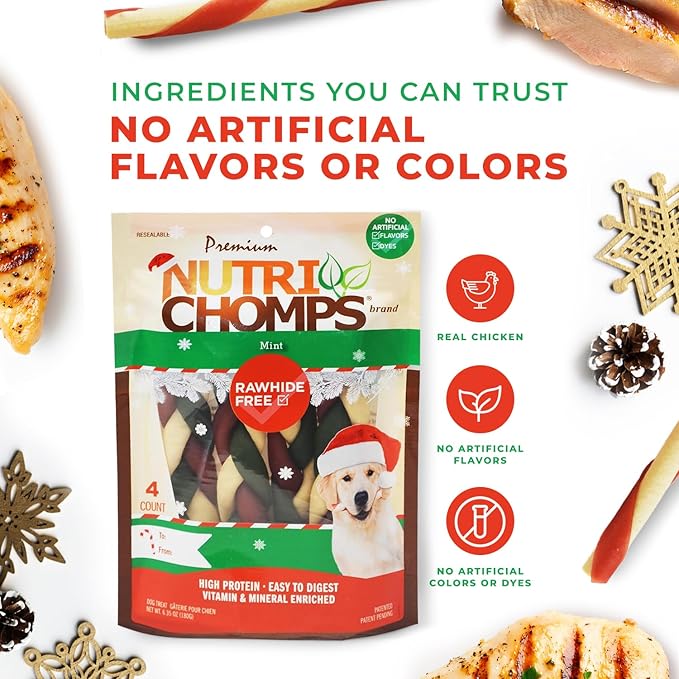 NutriChomps Dog Chews, 6 inch Braids, Mint Flavor, 4 count, Easy to Digest, Rawhide Free, Holiday Stocking Stuffer Treats, Christmas Gift for Dogs