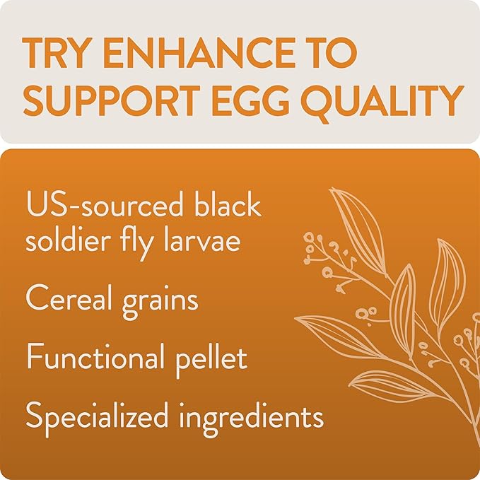 Enhance, Functional Poultry Treats for Egg Production & Quality, 3.5 lb