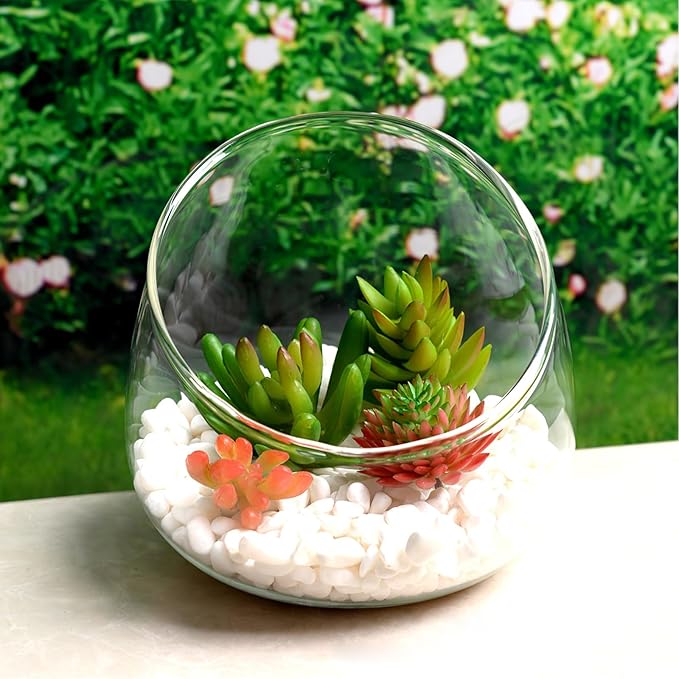 BESPORTBLE Slant Cut Glass Terrarium Bowl - Clear Glass Vase for Succulents, Air Plants, Cactus, Hydroponic Plants, Decorative Centerpiece, 4.72 X 4.72 X 3.93 Inch