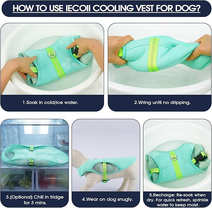 IECOii Cooling Vest for Dogs for Hot Weather, Reflective Adjustable Dog Shirt with Leash Ring, Lightweight Pet Outdoor Cooling Harness for Walking, Hiking, Beach, Turquoise, Size XL