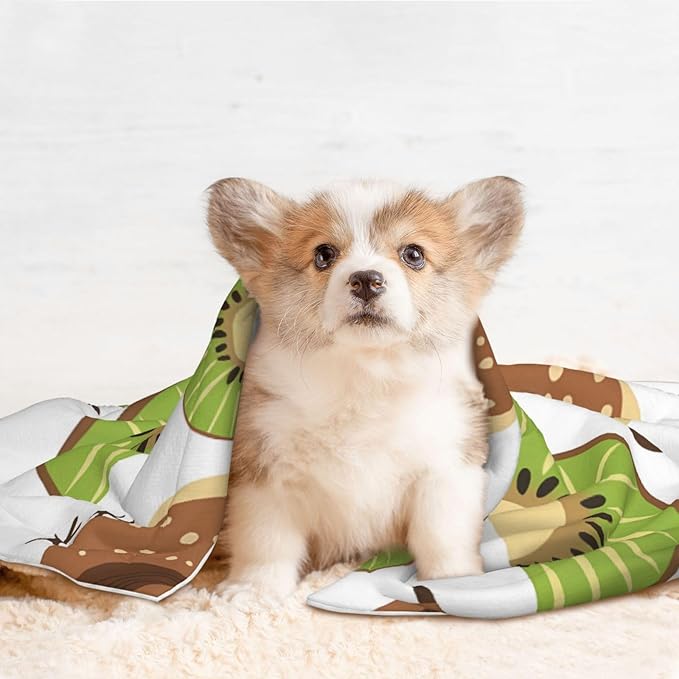 Kiwi Birds Kiwi Fruit Slices Dog Blankets for Small Dogs, Puppy Blanket Cute Pet Blanket for Dog, Puppy, Cat, Kitten Small