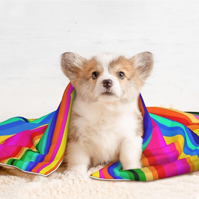 Pet Blanket for Travel and Home, Novel Colorful Mexican Blanket Stripes, Reversible Plush Dot Design with Soft Grip Texture on One Side Perfect for Car Seats Moving Vehicles