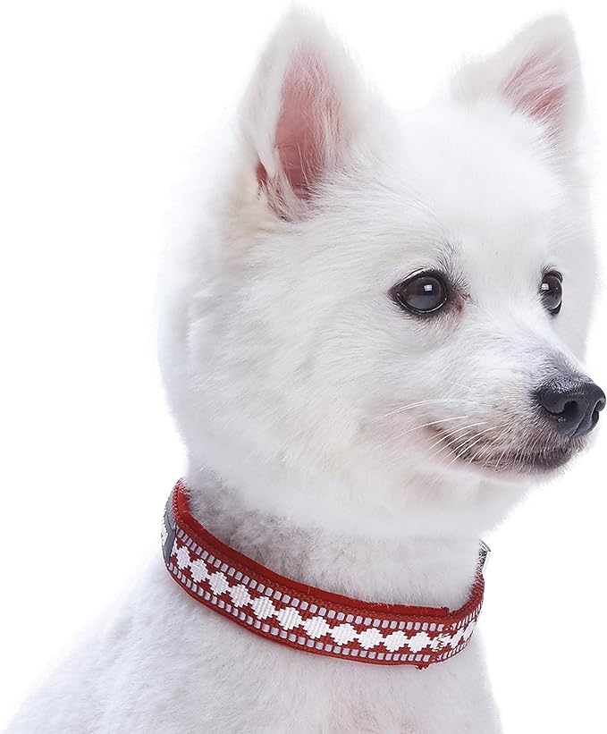 Blueberry Pet Reflective Jacquard Dog Collar with Neoprene Padding & Metal Buckle | Soft & Adjustable Safety Collar - Marsala Red, Neck 17-20.5", for Large Breed