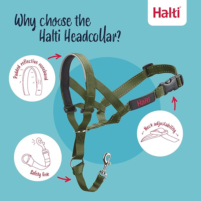 Halti Headcollar - Stop Your Dog Pulling on The Leash. Adjustable, Reflective and Lightweight, with Padded Nose Band. Dog Training Anti-Pull Collar for Small Dogs (Size 1, Forest Green)