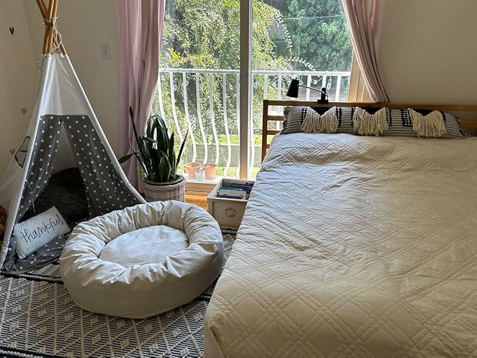 Organic Cotton Canvas Dog Bed: Removable Cover, Natural Fill - Made in USA (Natural, Medium 28" x 8" inches)