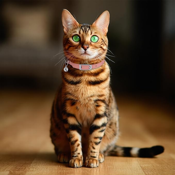 OOPSDOGGY Rolled Leather Cat Collar with Bell, Reflective Kitten Collars with Buckle Include Safety Elastic Strap - Adjustable Small Pet Collars for Boy Girl Cats (Peach)