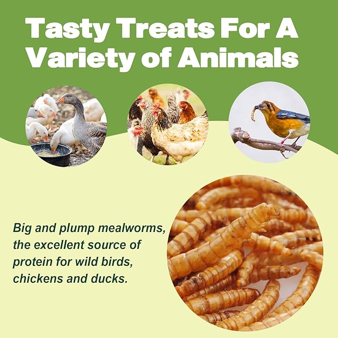 Dried Mealworms - 5 LBS - 100% Natural Non-GMO High Protein - Bulk Mealworms for Wild Birds, Chickens, Pet Treats & Reptile Food