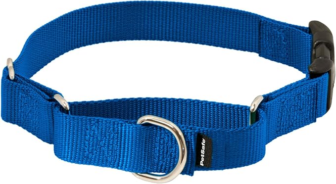 PetSafe Martingale Collar with Quick-Snap Buckle - Adjustable No-Slip Quick Release Dog Collar - Everyday Wear No-Pull Training Aid - 3/4" Wide - Small - Royal Blue
