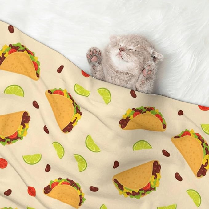 Pet Blanket for Car Rides Vet Visits, Mexican Taco, Two Sided Reversible Plush Design with Bumpy Dot Side Offers Comfort Home Piece On Go Travel