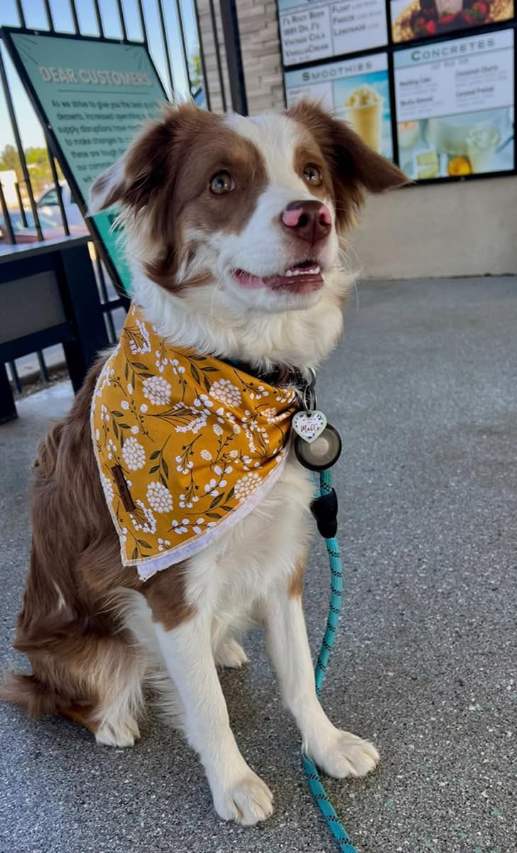 Lionet Paws Flower Dog Bandana,Fabric Yellow Dogs Kerchief for Small Medium Dogs,Dog Cotton Triangle Bibs Scarf for Girl Boy