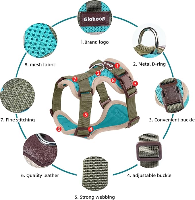 Small Dog Harness and Leash Set, Breathable Mesh Puppy Harness, Adjustable Dog Harness for Small Medium Large Dogs, No-Pull Pet Harness for Daily Walking (Lakeblue, Large)