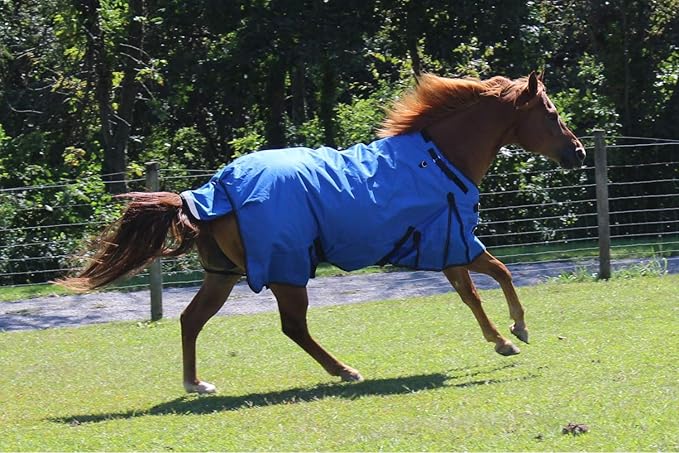 Derby Originals Nordic Tough 1200D Ripstop Waterproof Reflective Winter Horse Turnout Blanket 300g Heavy Weight, Royal Blue, 84"