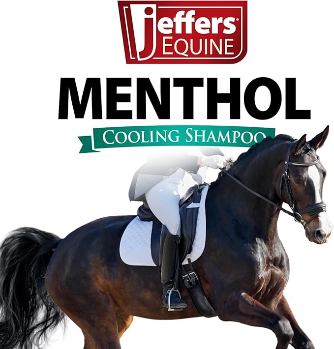 Jeffers Equine Menthol Cooling Horse Shampoo 1 Gallon - 100% Pure Australian Menthol, Coconut Oil, Aloe & Vitamin E - Moisturizing, Deep Cleansing, Gentle Grooming Shampoo for Horses