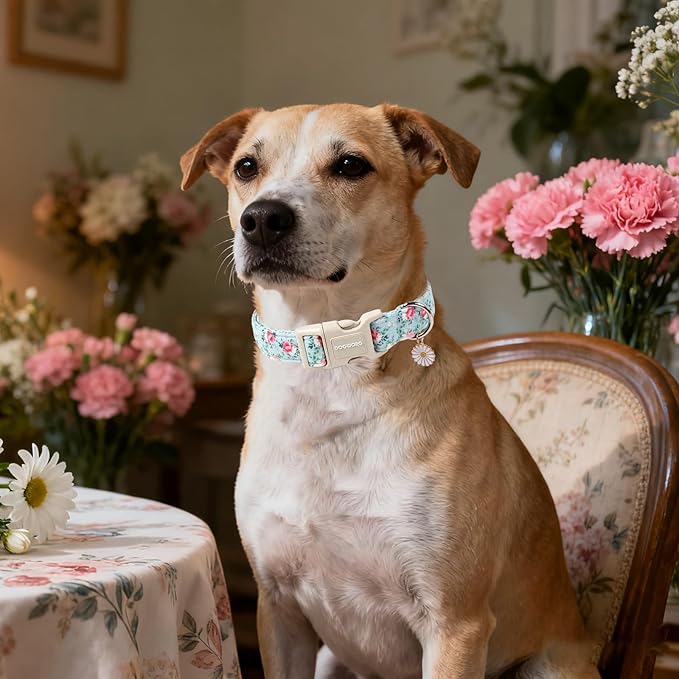 DOGWONG Floral Dog Collar, Cute Adjustable Flower Collar, Girl Female Dog Collar with Strong Plastic Buckle for Small Medium Large Dogs,L