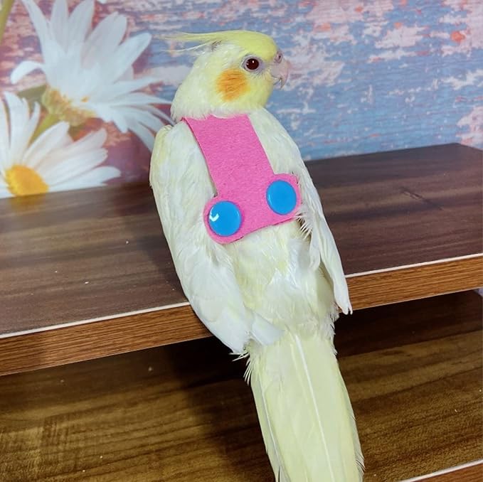 Bird Flight Harness Vest, Parrot Flight Suit with Leash for Parakeets Cockatiels Conures Budgies, Bird Flying Clothes with Rope and Handle for Outdoor Activities Training (M, Pink)