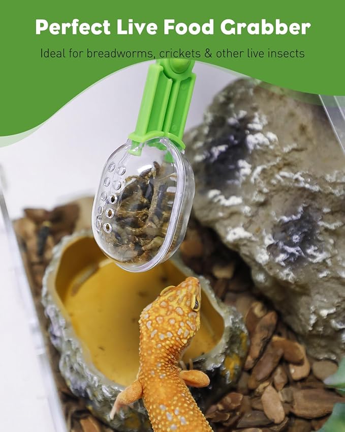 Pawfly 3 Pack Reptile Feeding Clamp, Bug Scooper, Plastic Reptile Poop Scoop, Terrarium Reptile Feeding and Cleaning Tools for Lizard Bearded Dragon Gecko Snake, 3 Colors