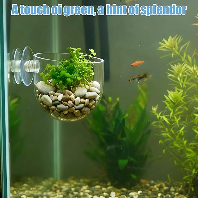 3 Pack Aquarium Plant Holder Clear Fish Tank Plant Holder Fishes Tanks Plants Pot Acrylic Aquarium Planter Cup with Suction Cups for Home Aquariums Aquascape Decor, Red Worm Fish Shrimp Feeder