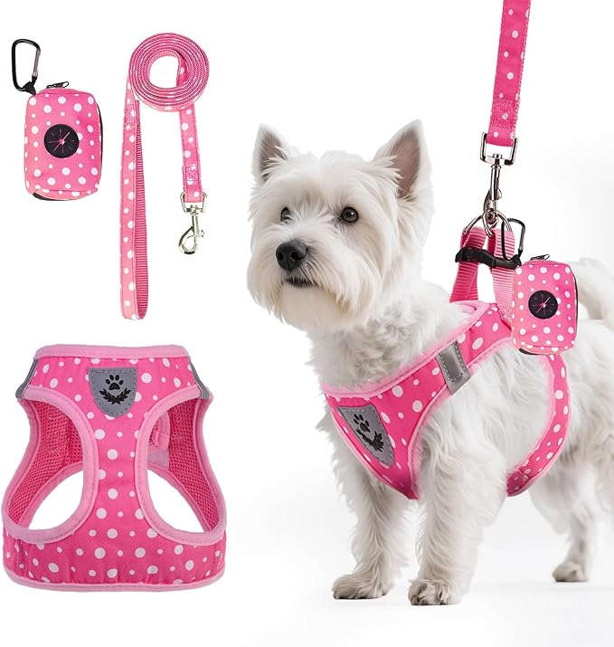 PAWCHIE Dog Harness and Leash Set, Step in No Pull Soft Pet Harness, Reflective Adjustable Puppy Vest for Small Medium Dogs Cats, No Choke Harness Vest with Poop Bag Holder for Walking,Running, Pink S