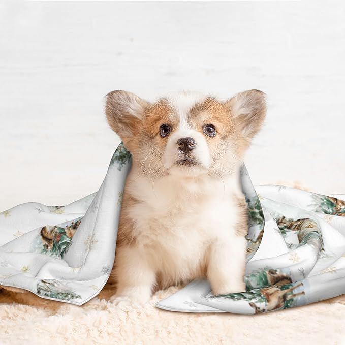 Cabin Blanket for Dogs Cats - Winter Throw Blanket 30x20 Moose Snowflake Pet Couch Blankets for Puppy
