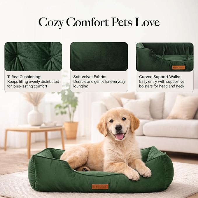 Modern Threads Luxury Dog Bed - Comfortable Tufted Velvet Cushion for Small to Large Dogs - Machine Washable - Durable & Cute Sleep Space for Pets - Pamper Your Pet with Cozy Beds - Forest Green