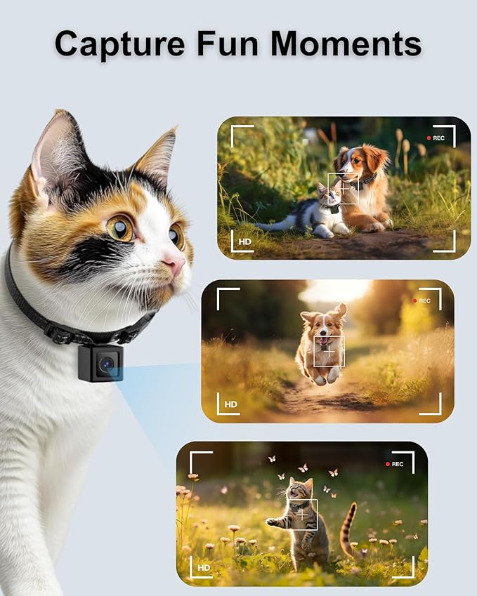 Cat Camera Collar 1080P HD – Lightweight Pet POV Action Cam with Night Vision, No WiFi Needed, XS-Size Pet Collar Camera