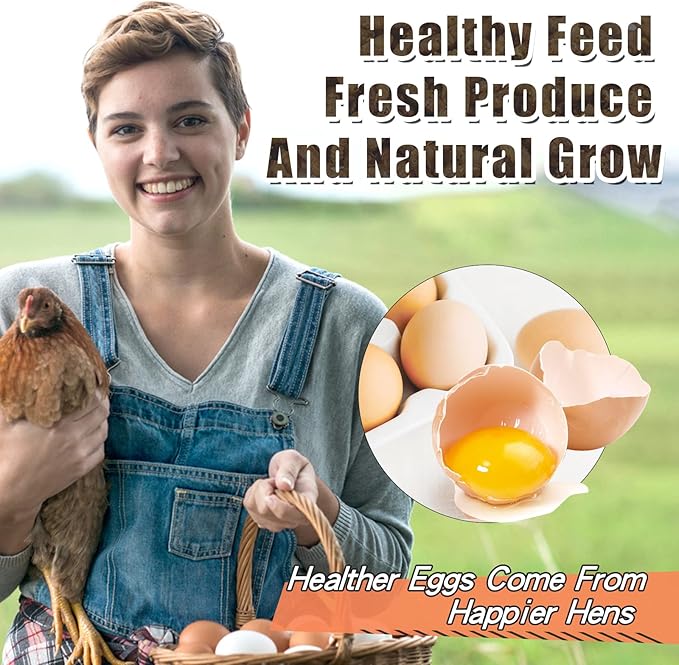 Dried Black Soldier Fly Larvae 22LBS, 85X More Calcium Than Mealworms High-Protein BSF Larvae Chicken Treats Non-GMO BSFL for Chickens, Hens, Ducks, Wild Birds