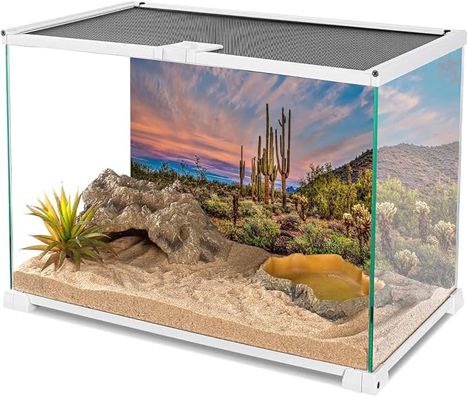 AWERT 36x18 inches Terrarium Background Blue Sky Cloud Huge Cactus Oasis Gobi Reptile Habitat Background Vinyl