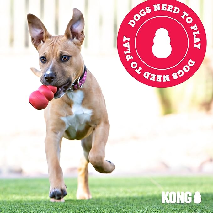 KONG Ali Alligator Cozie Dog Toy, Small