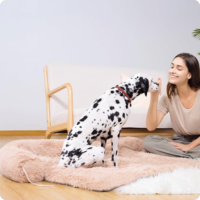 Dog Bed Large Sized Dog, Fluffy Dog Bed Couch Cover, Calming Large Dog Bed, Washable Dog Mat for Furniture Protector,Perfect for Small, Medium and Large Dogs and Cats ，Beige
