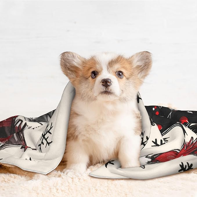 Winter Blanket for Dog Cat - Snowflake Throw Blanket 23 x 16 mas Tree Pet Blanket for Couch Sofa Bed