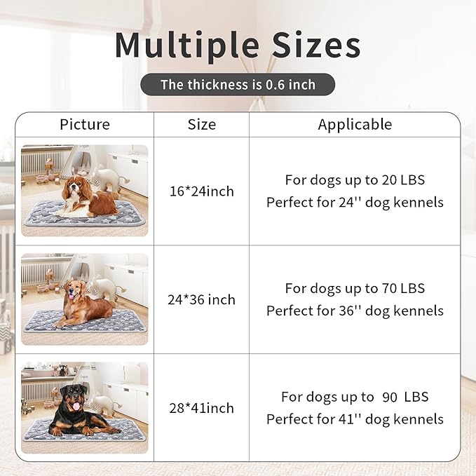 Dog Crate Mats, Soft Reversible Dog Bed Mat, Cat Mat - 24x16 Inch, Short Plush Pet Mat Crate Mat for Small Dogs, 0.6-inch Thick Thin Dog Mat, Machine Washable Ideal for 24-Inch Dog Crates