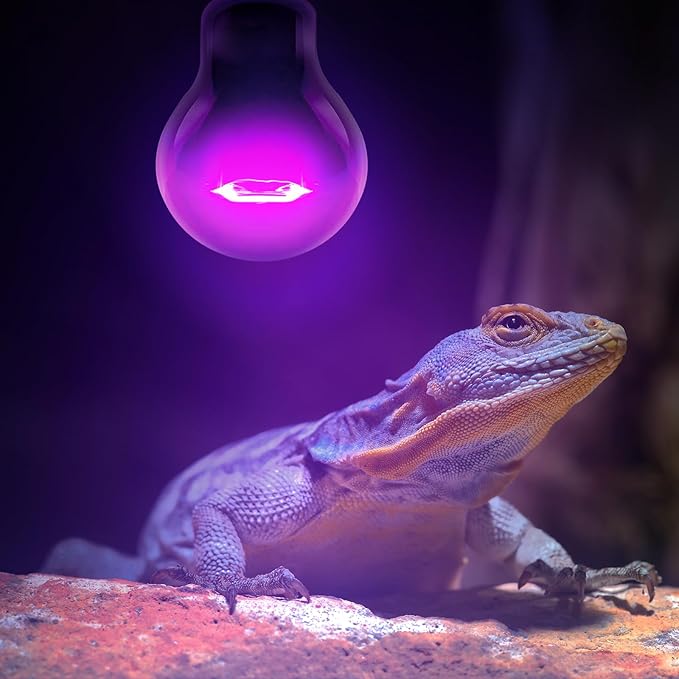 Leoterra 75W Reptile Incandescent Night Black Heat Lamp and 75w UVA Daylight Heat Lamp Combo Pack E26 Base 110v Long Service Life for Lizard Bearded Dragon Chicken Coop,Dog House Use…